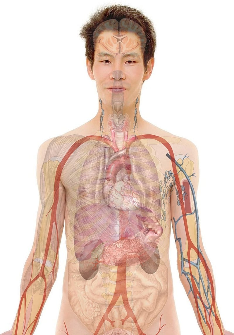 Body Scan